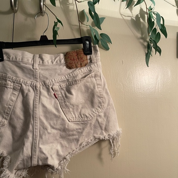 Levi - Picture 3 of 3